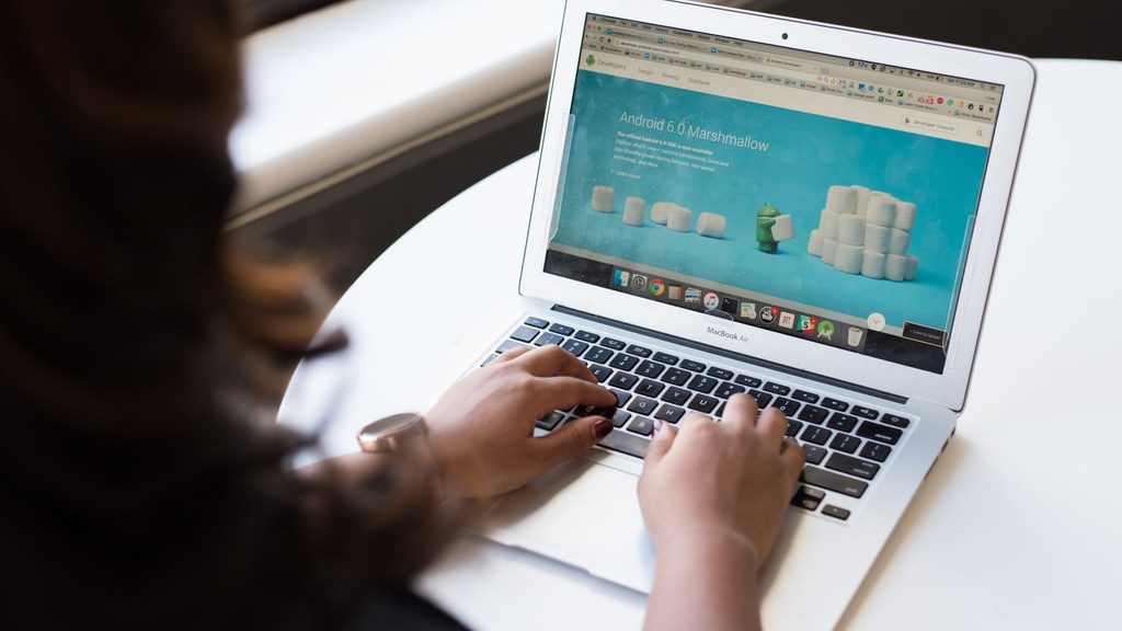 WordPress Development